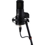 WA-8000 LDC Tube Microphone