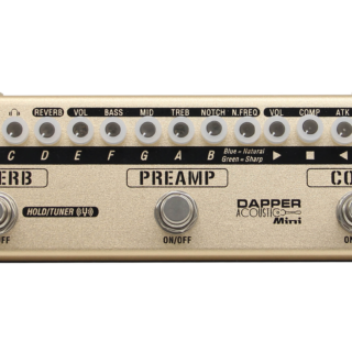 Dapper Acoustic Mini