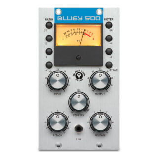 Audio BLUEY 500