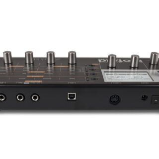 blofeld-black-back-scaled