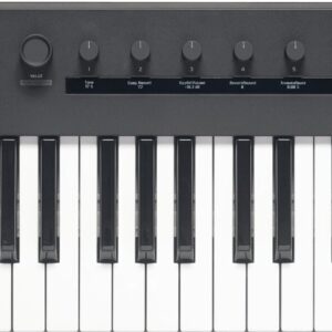 KEYSTAGE-49 MIDI Keyboard