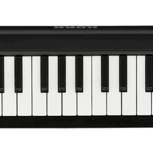 microKEY2-49USB midi keyboard