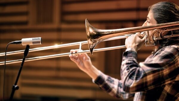 SD-7 Dynamic Microphone with Hemisphere