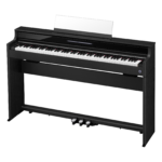 AP-S450 Celviano Series Digital Piano (Black)