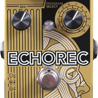 ECHOREC MULTI-TAP ECHO