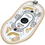 Biotron Midi Controller