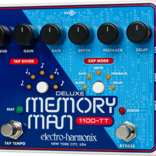 DELUXE MEMORY MAN 110 W/TT