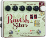RAVISH SITAR