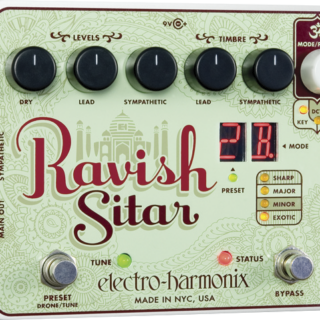 RAVISH SITAR