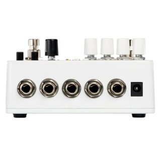 electro-harmonix-grand-canyon-2