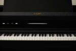 AP-750 Celviano Series Digital Piano (Black)