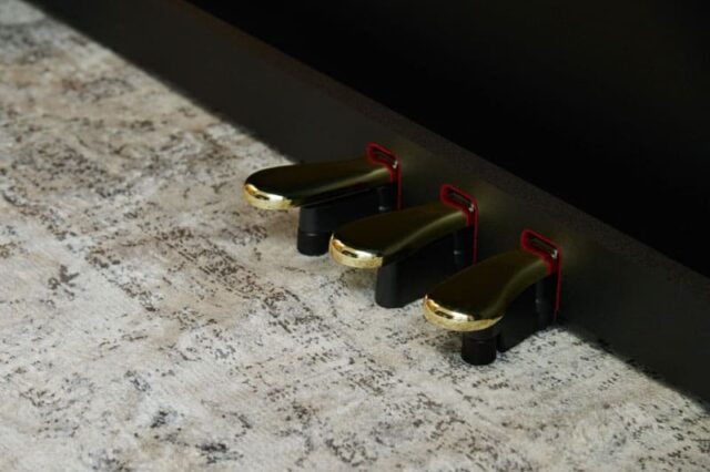 AP-300 Celviano Series Digital Piano (Black)