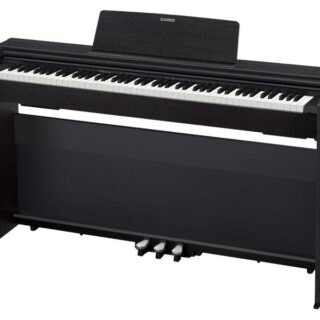 PX-870 Privia Series Digital Piano (Black)