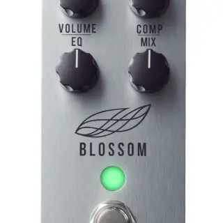 w-blossom-front-skinny